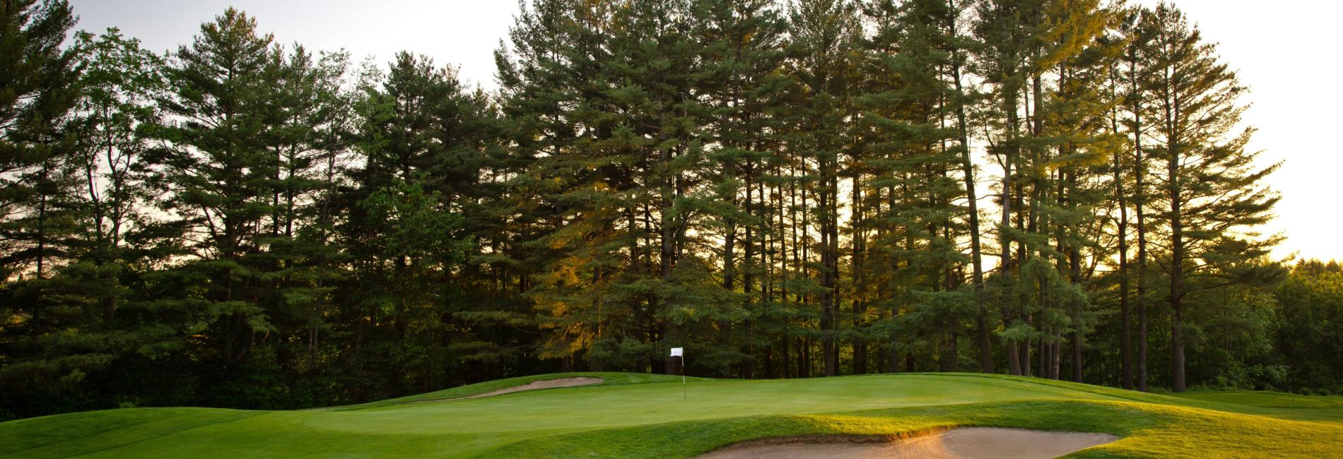 Golf club image: Club de Golf Milby